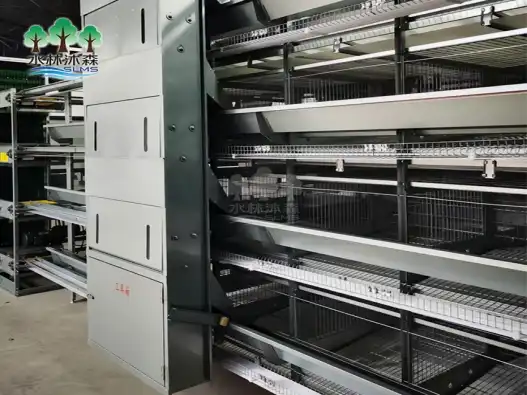 5 advantages of automatic trolly feeding system in chicken house